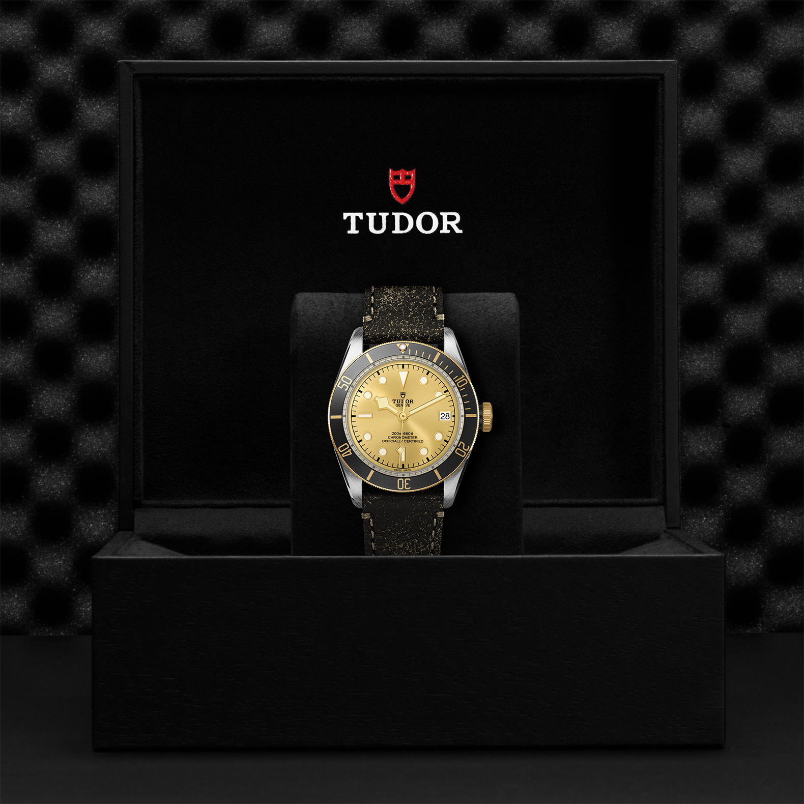 TUDOR Black Bay Watch - M79733N-0003 at Bachendorf's Jewelers