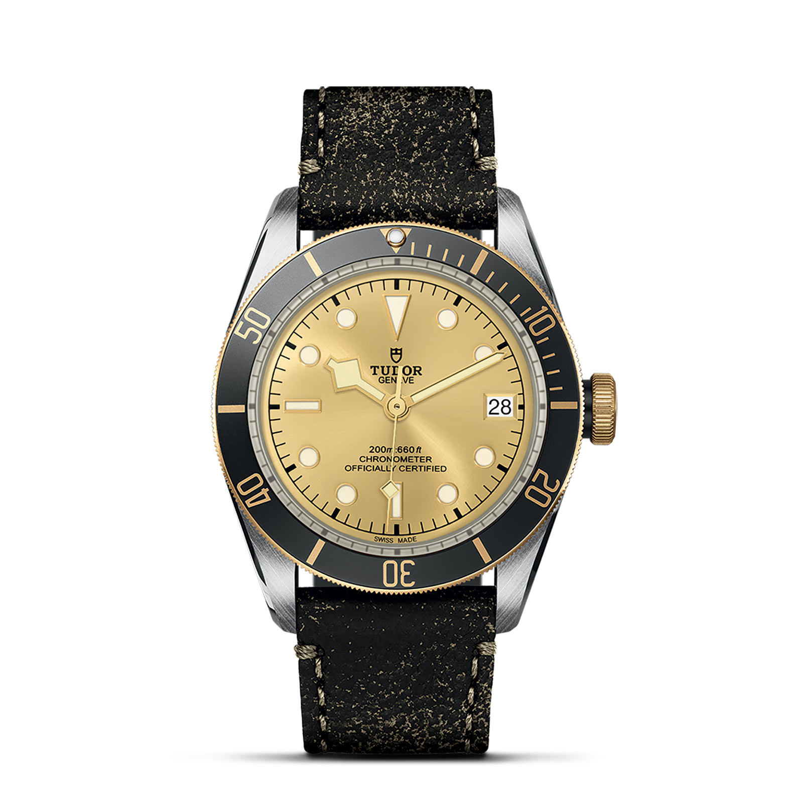 TUDOR Black Bay Watch - M79733N-0003 at Bachendorf's Jewelers
