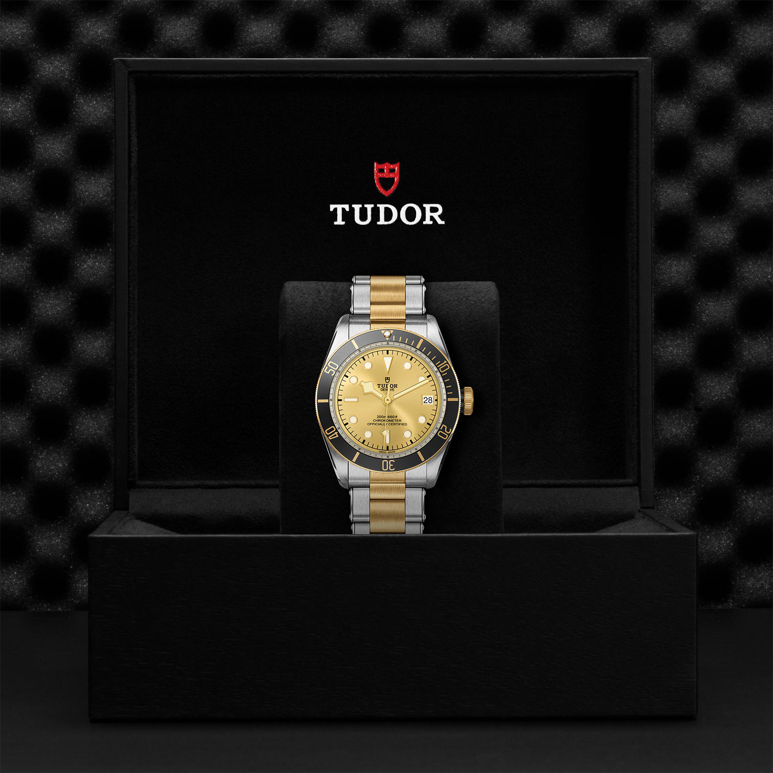 TUDOR Black Bay Watch - M79733N-0004 at Bachendorf's Jewelers