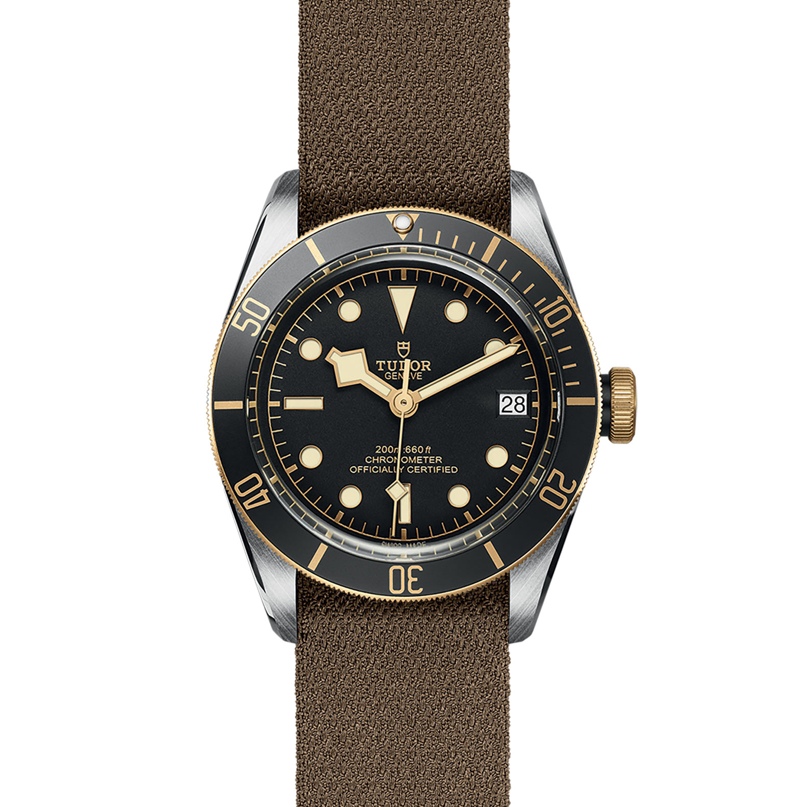 TUDOR Black Bay Watch - M79733N-0005 at Bachendorf's Jewelers
