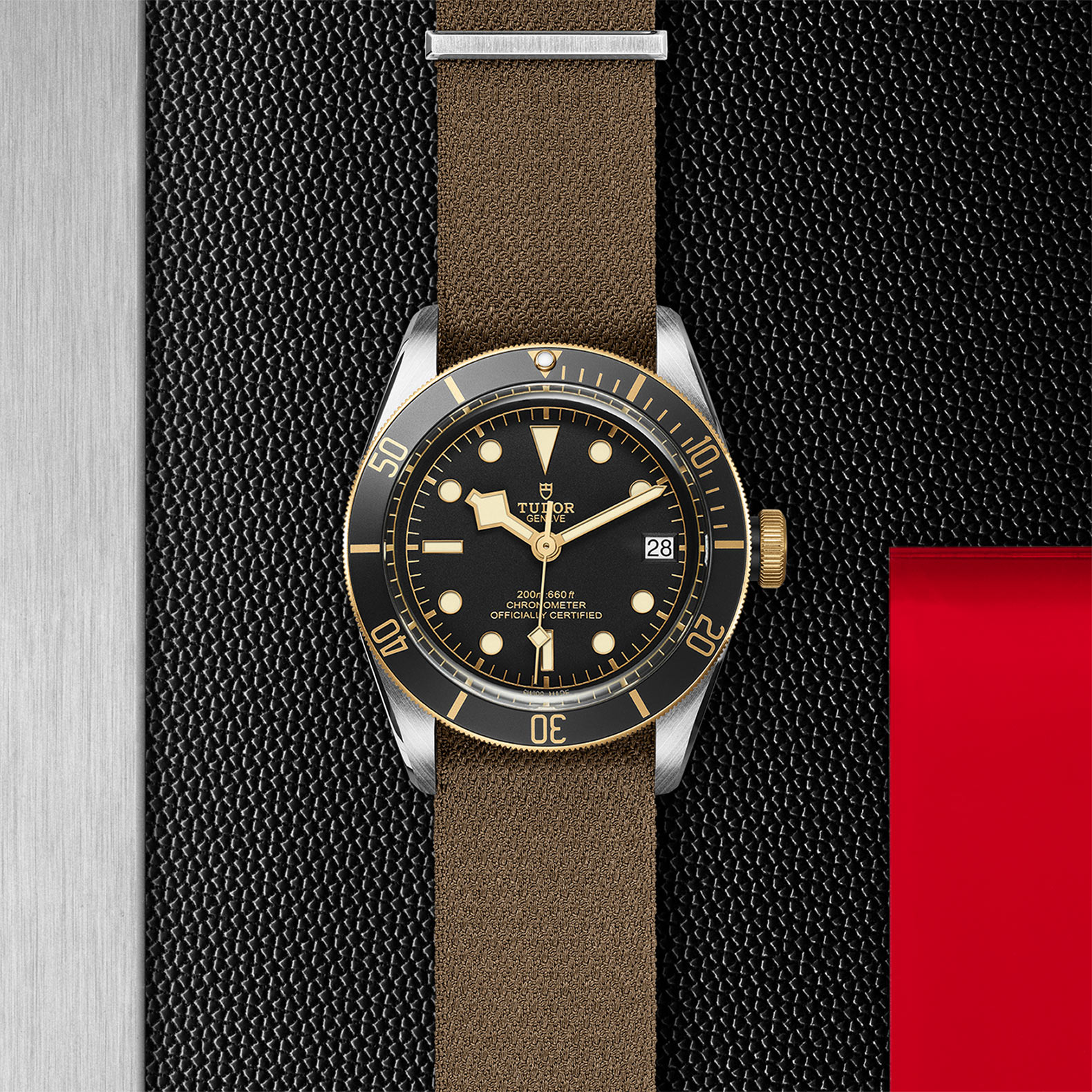 TUDOR Black Bay Watch - M79733N-0005 at Bachendorf's Jewelers