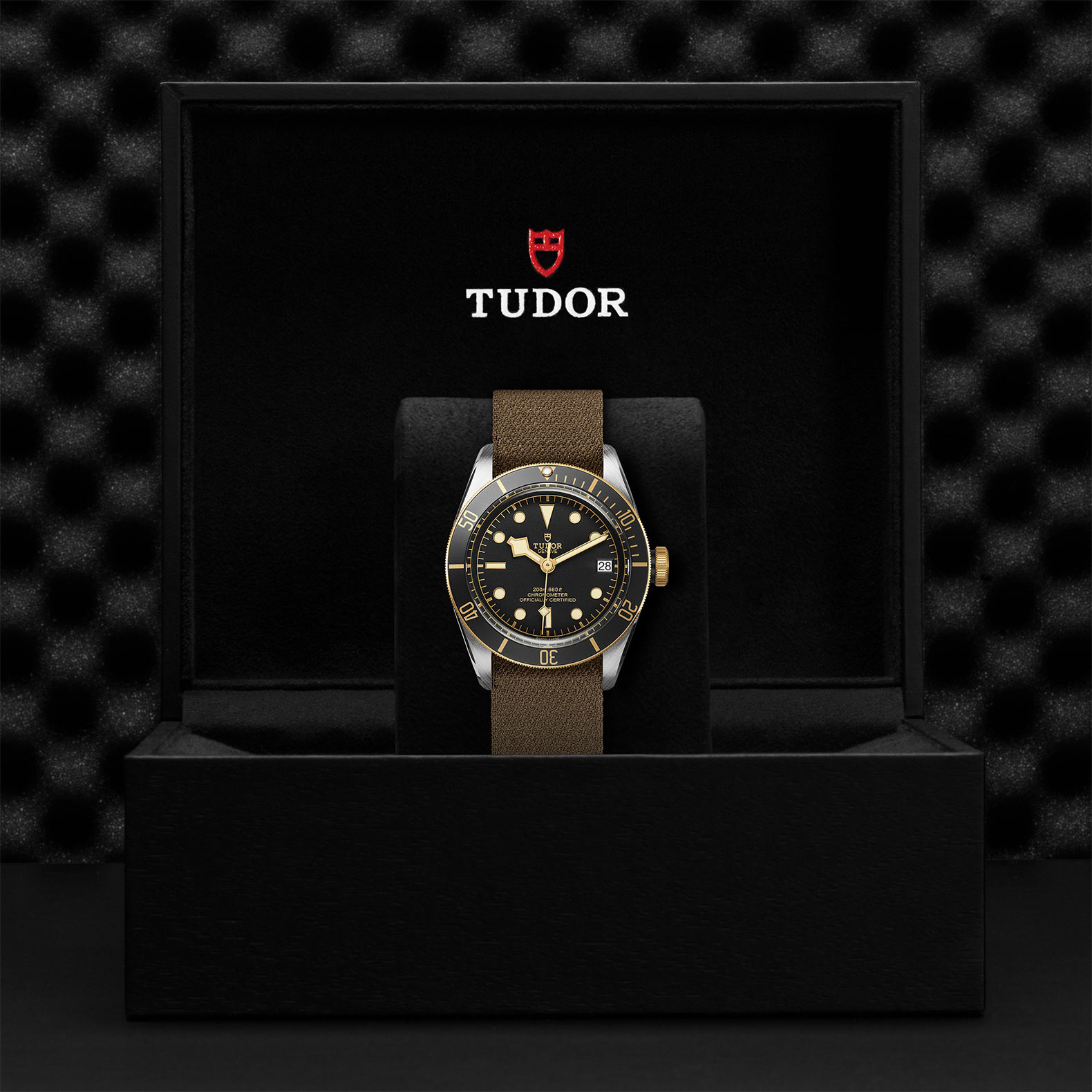 TUDOR Black Bay Watch - M79733N-0005 at Bachendorf's Jewelers