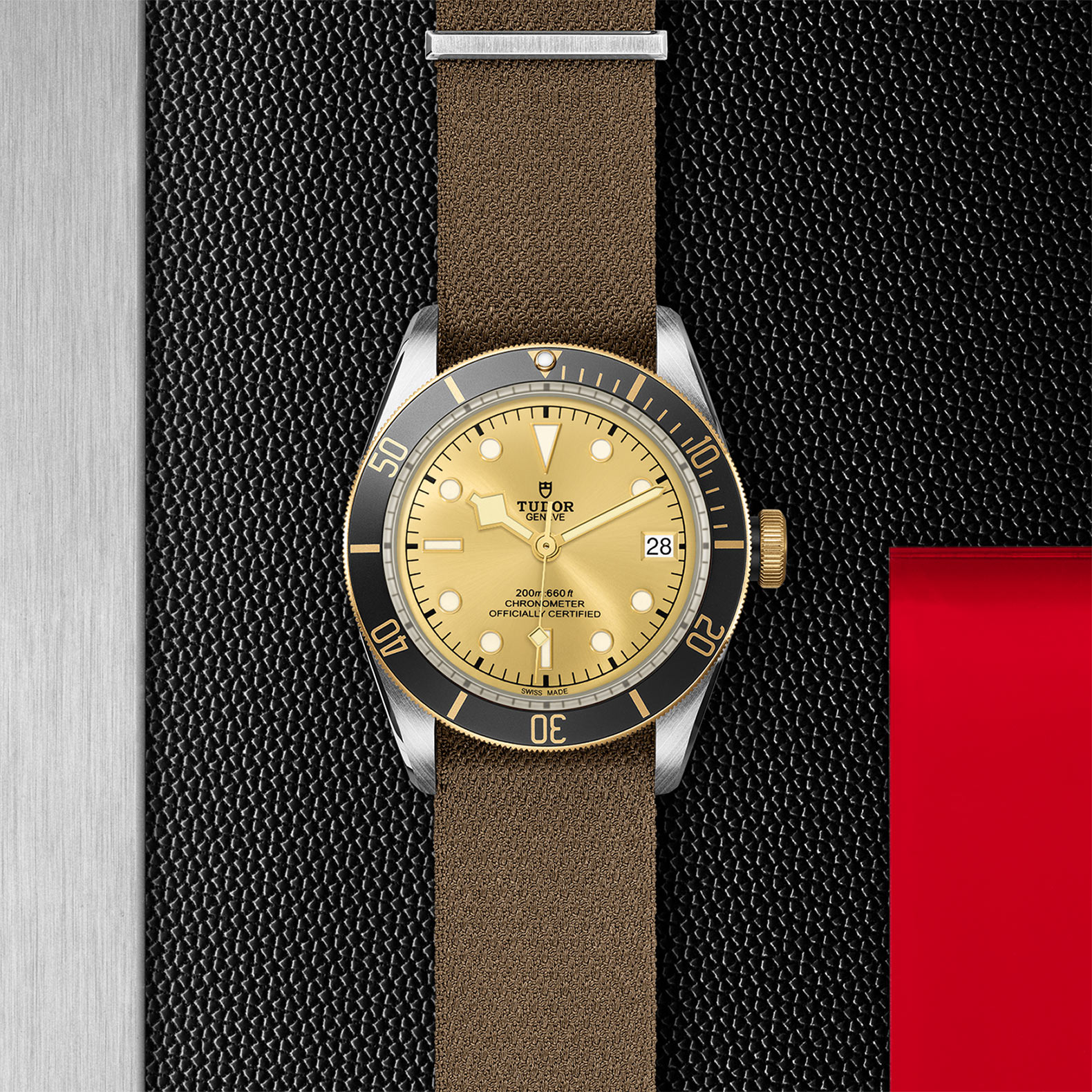 TUDOR Black Bay Watch - M79733N-0006 at Bachendorf's Jewelers