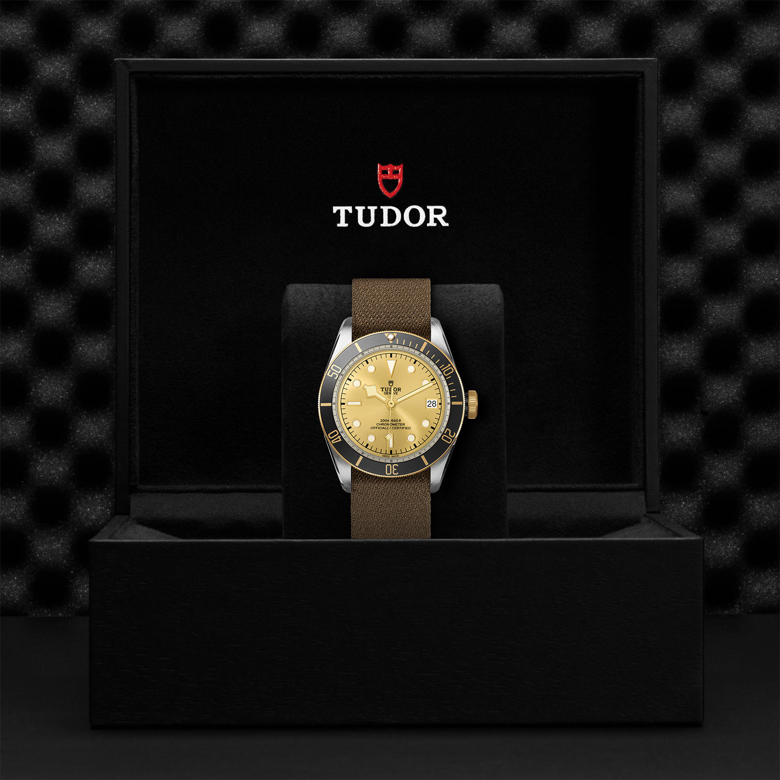 TUDOR Black Bay Watch - M79733N-0006 at Bachendorf's Jewelers