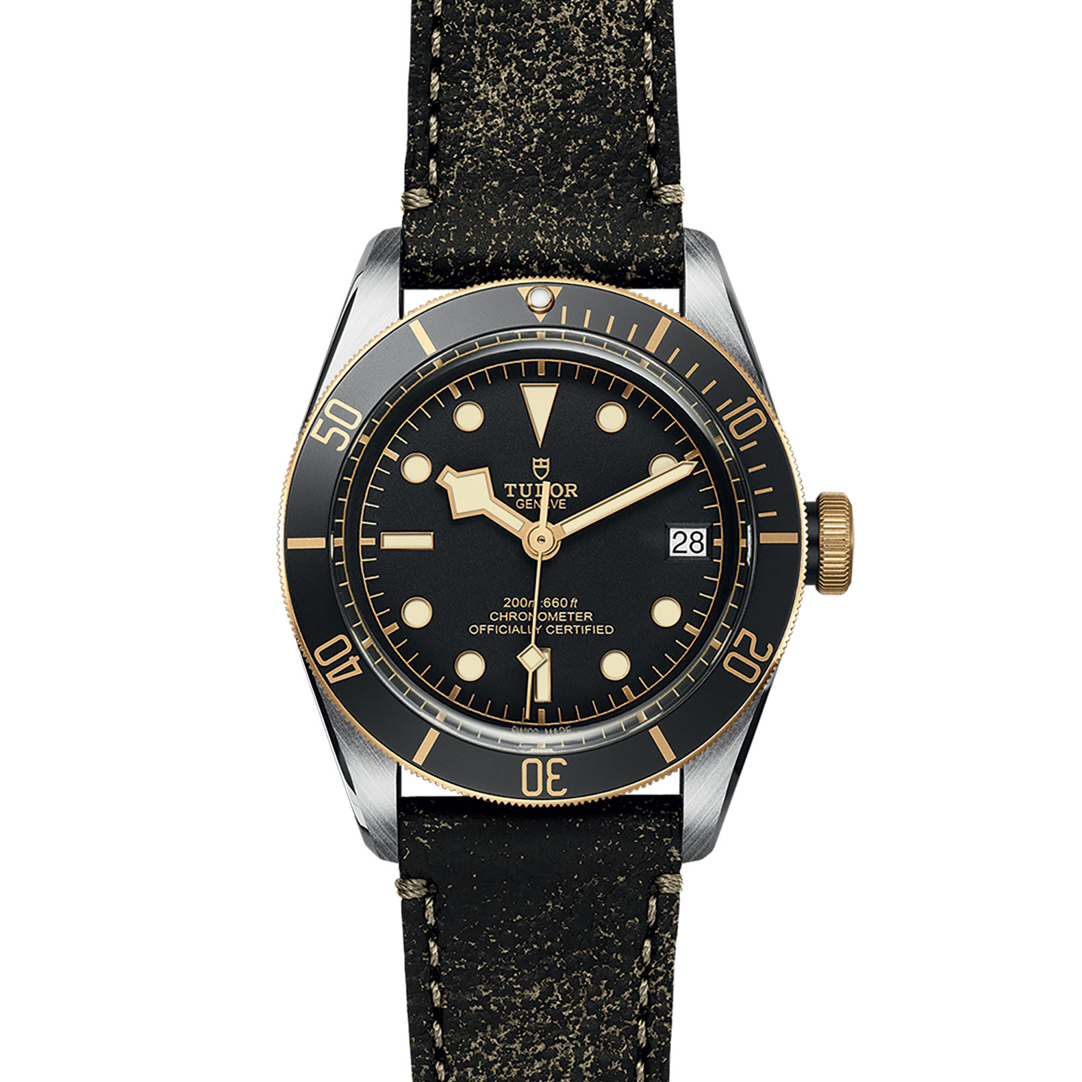 TUDOR Black Bay Watch - M79733N-0007 at Bachendorf's Jewelers