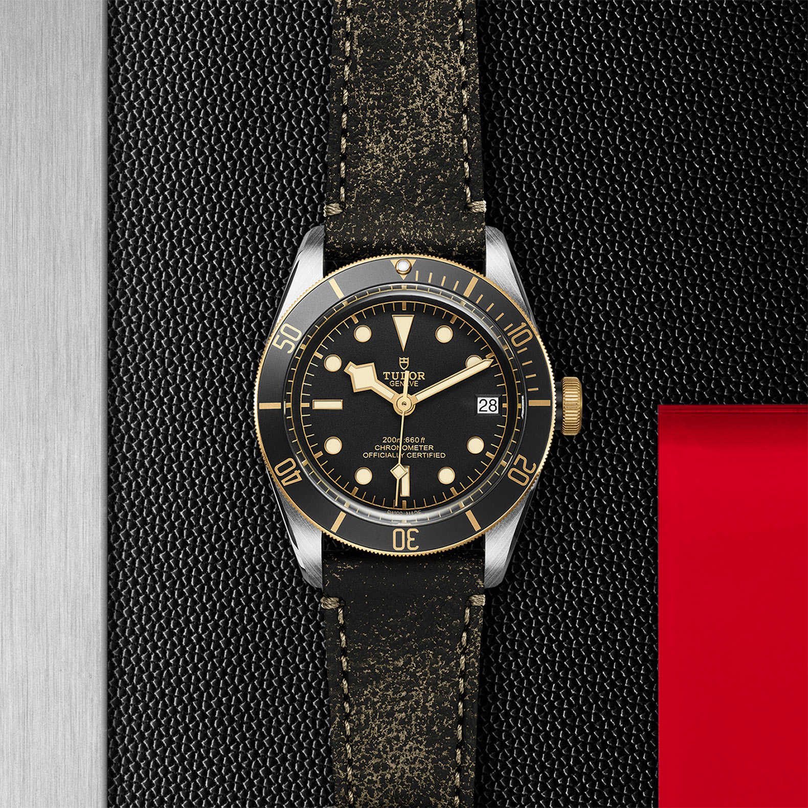 TUDOR Black Bay Watch - M79733N-0007 at Bachendorf's Jewelers