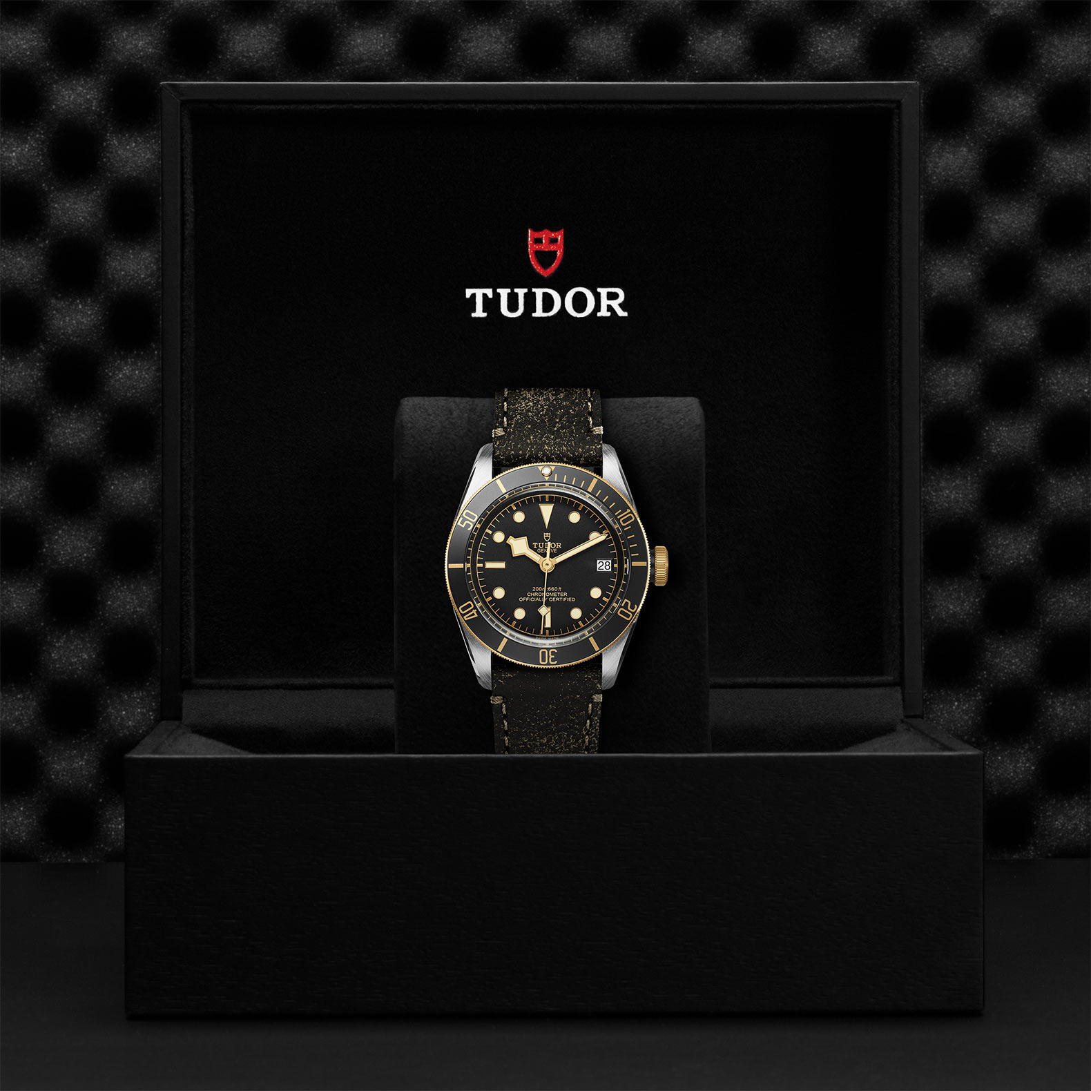 TUDOR Black Bay Watch - M79733N-0007 at Bachendorf's Jewelers