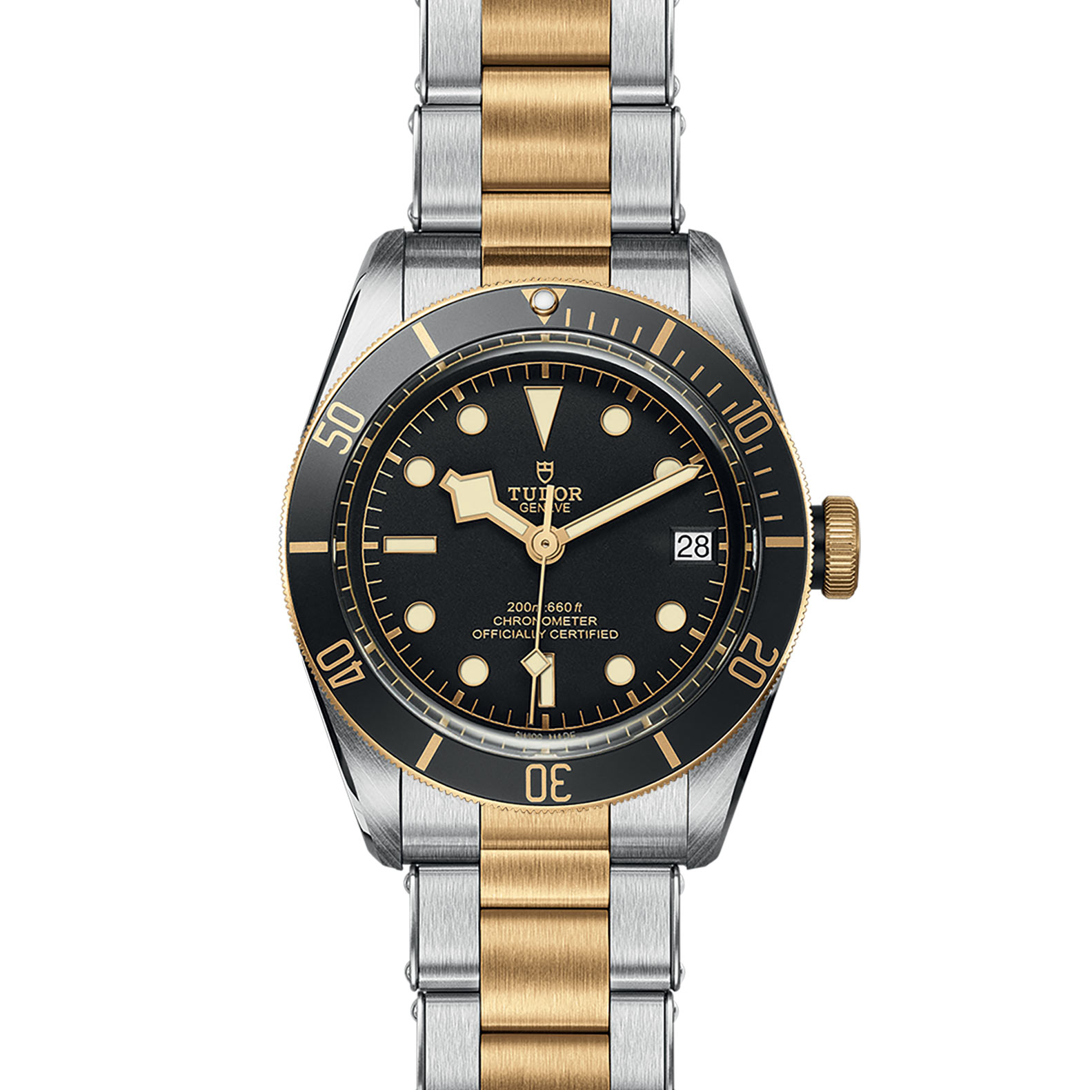 TUDOR Black Bay Watch - M79733N-0008 at Bachendorf's Jewelers