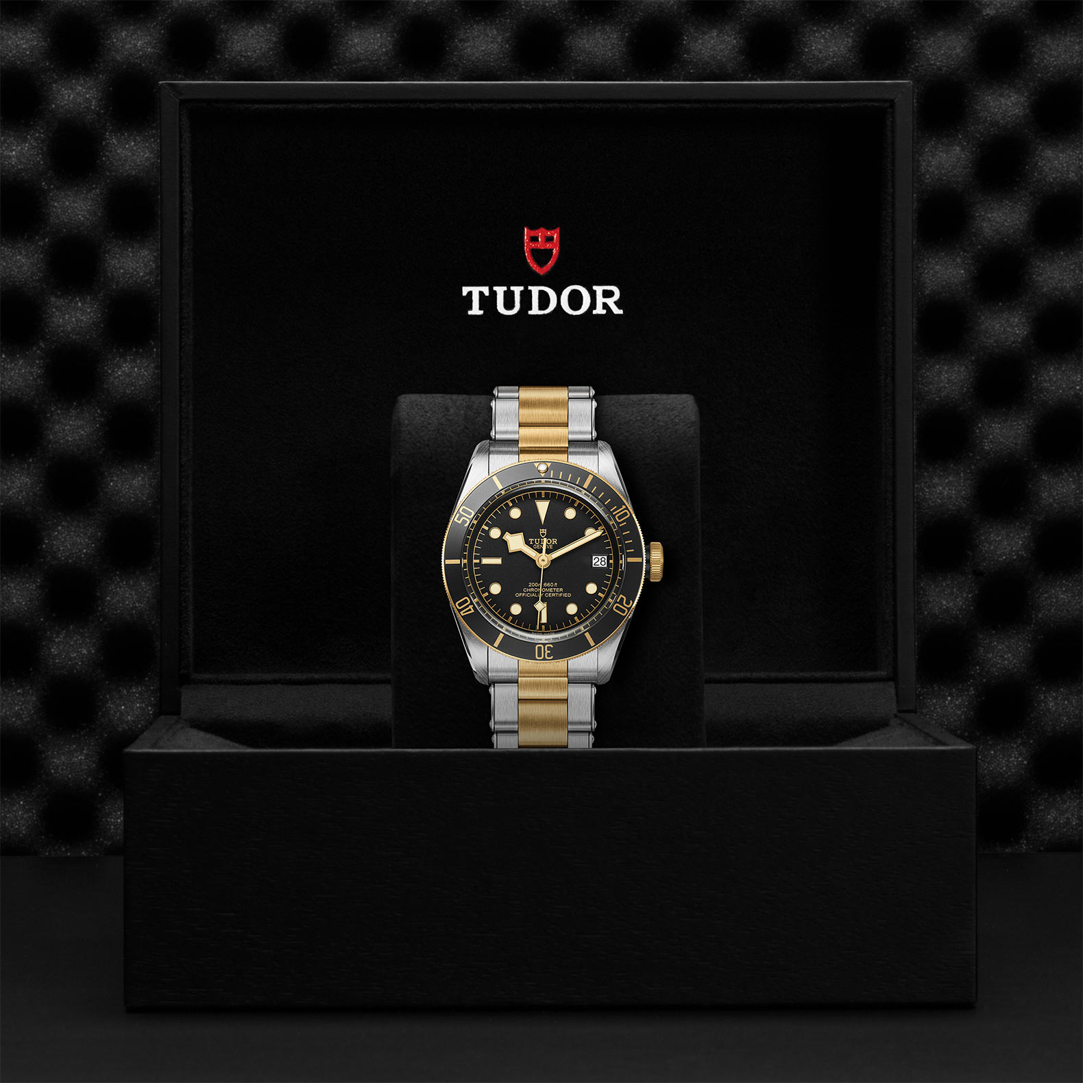 TUDOR Black Bay Watch - M79733N-0008 at Bachendorf's Jewelers
