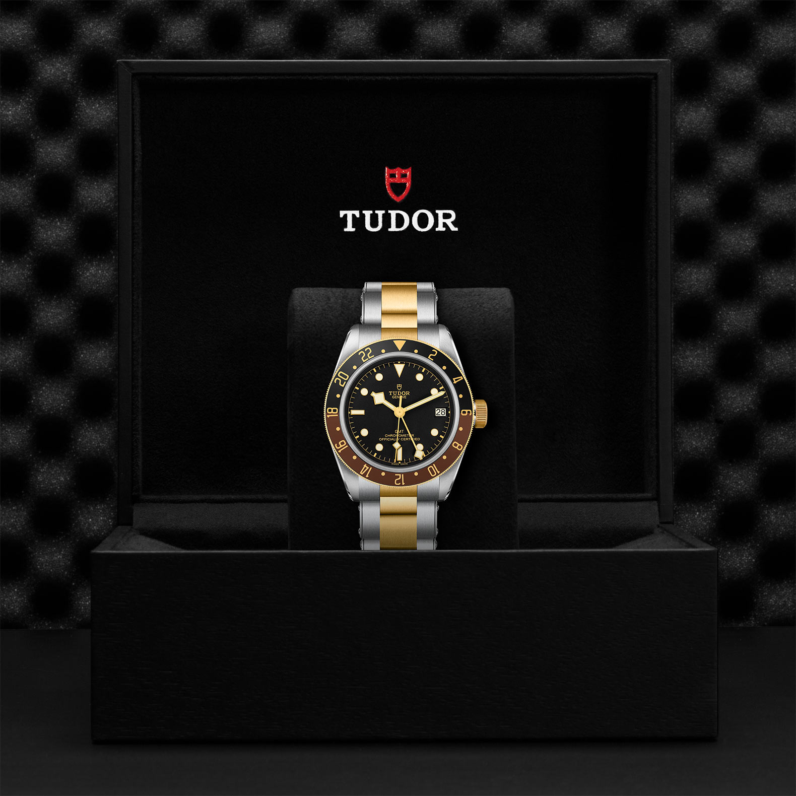 TUDOR Black Bay GMT Watch - M79833MN-0001 at Bachendorf's Jewelers