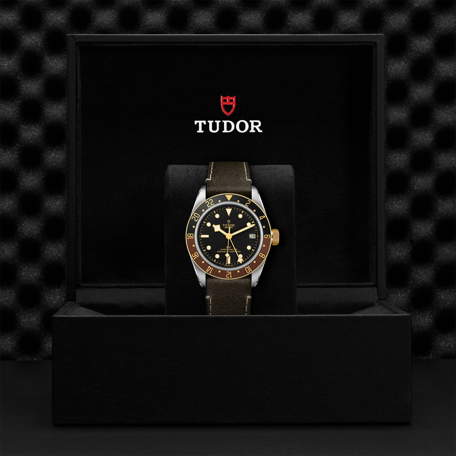 TUDOR Black Bay GMT Watch - M79833MN-0003 at Bachendorf's Jewelers