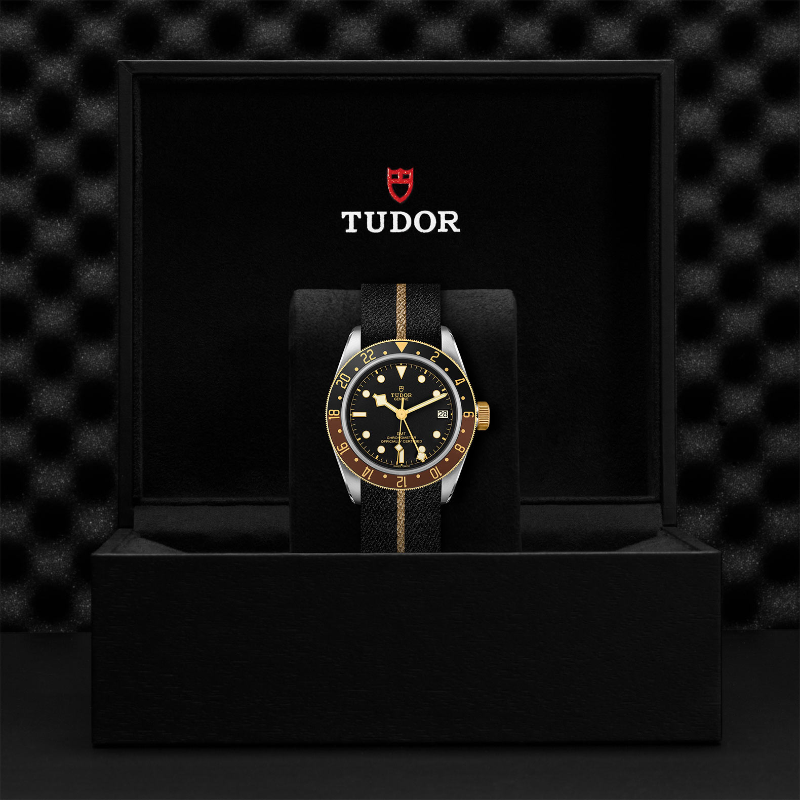 TUDOR Black Bay GMT Watch - M79833MN-0004 at Bachendorf's Jewelers