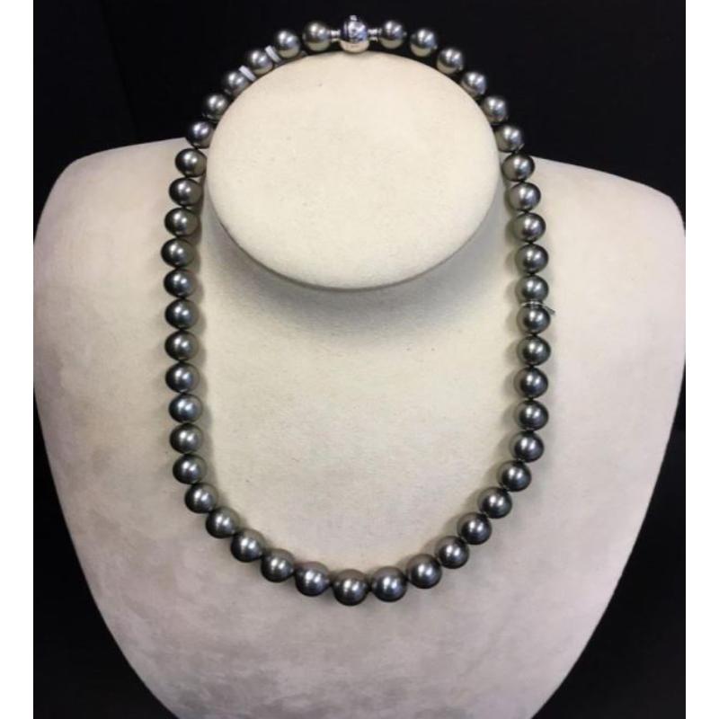 Mikimoto 18K White Gold Rhodium Plated Everyday Essentials Black South Sea Pearl Strand Necklace